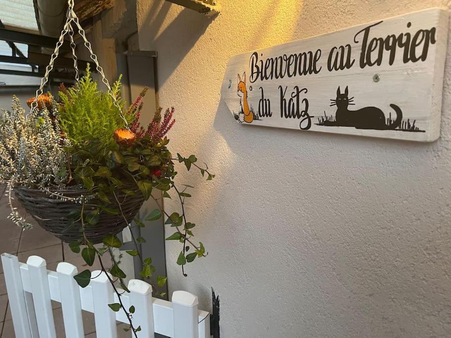 Apartamento Le Terrier Du Katz Dabo Exterior foto